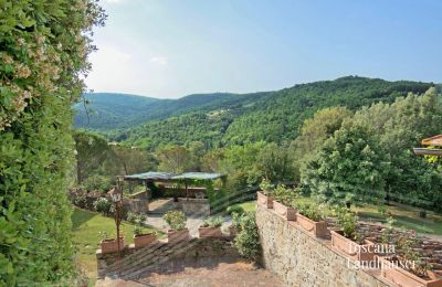 Landhuis te koop Arezzo, Toscane, RIF 2993 Panoramablick