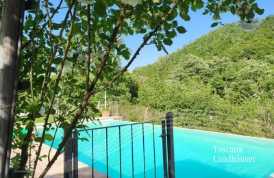 Landsted til salgs Gaiole in Chianti, Toscana, RIF 3003 Weg zum Pool