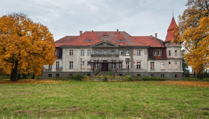 Slott til salgs Karczewo, województwo wielkopolskie,  Polen