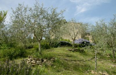 Kirke købe 06060 Lisciano Niccone, Umbria, Billede 23/30