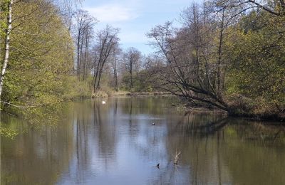 Historischer Park kaufen Dębe Wielkie, Ruda, Masowien, Foto 14/24