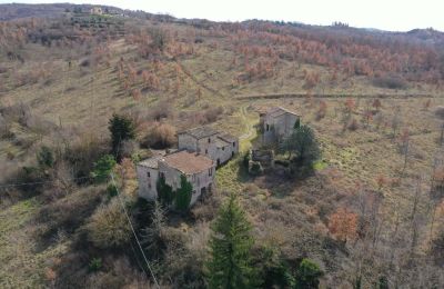 Stuehus købe 06019 Umbertide, Umbria, Billede 12/20