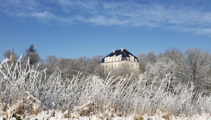 Slott til salgs Piszkowice, województwo dolnośląskie,  Polen