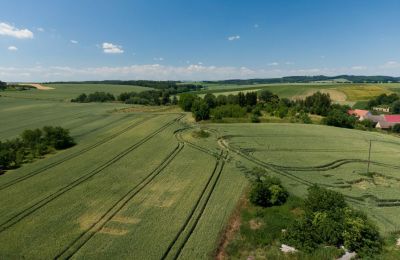 Historisk villa til salgs Strzelin, Kazanów 21, województwo dolnośląskie, Bilde 33/35