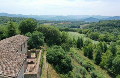 Bondegård til salgs Promano, Umbria, Bilde 19/21