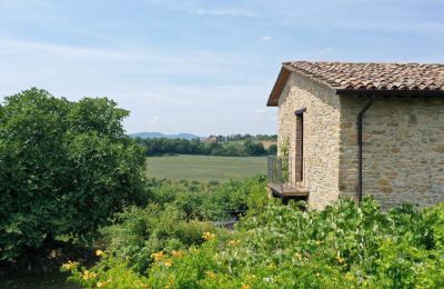 Bondegård til salgs Promano, Umbria, Bilde 20/21