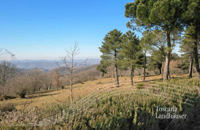 Landhus købe Gaiole in Chianti, Toscana, RIF 3041 Ausblick