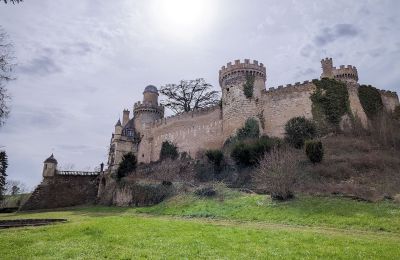 Slott til salgs Veauce, Auvergne-Rhône-Alpes, Bilde 3/9