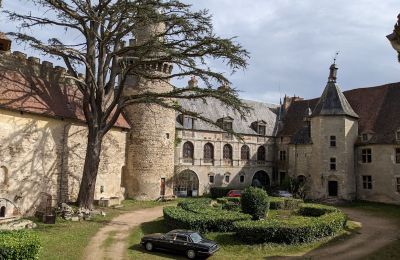 Slott til salgs Veauce, Auvergne-Rhône-Alpes, Bilde 4/9