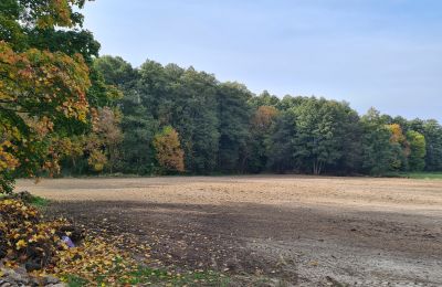 Herregård købe Chojne, województwo łódzkie, Park