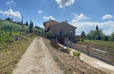 Landhus købe Cortona, Toscana, RIF 3085 Zufahrt
