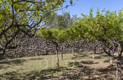 Historisk villa til salgs Oria, Puglia, Bilde 16/34