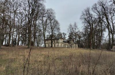 Schloss kaufen Stradzewo, Pałac w Stradzewie, Westpommern, Park