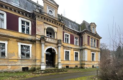 Schloss kaufen Olszyna Dolna, Pałac Olszyna, Niederschlesien, Vorderansicht