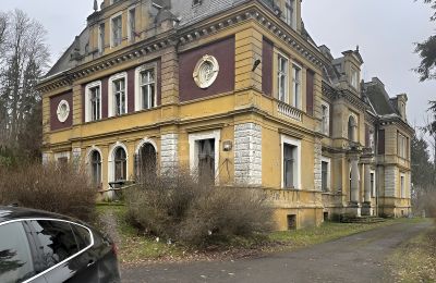 Schloss kaufen Olszyna Dolna, Pałac Olszyna, Niederschlesien, Foto 2/7