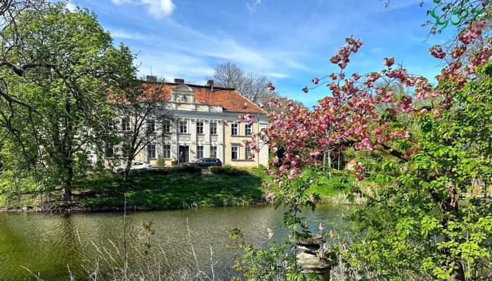 Schloss kaufen Gola, Großpolen,  Polen