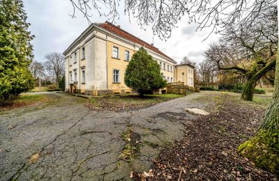 Schloss kaufen Gola, Großpolen, Foto 42/46