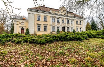 Schloss kaufen Gola, Großpolen, Foto 2/46