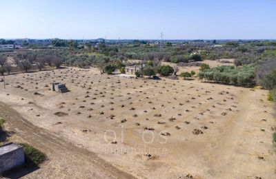 Herregård købe Oria, Puglia, Ejendom