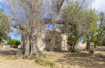 Herrenhaus/Gutshaus kaufen Oria, Apulien:  