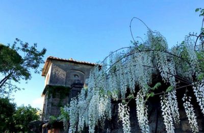 Historisk villa till salu Lazio, Torn