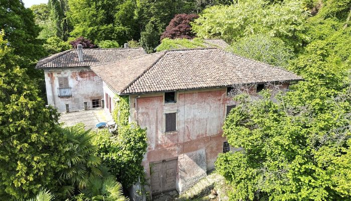 Historisk villa Oggebbio 5