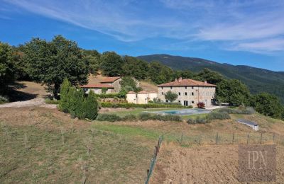 Herregård til salgs Sansepolcro, Toscana, Bilde 15/41