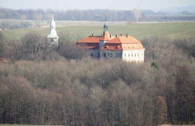 Historische Immobilie kaufen Domanice, Niederschlesien, Foto 6/13