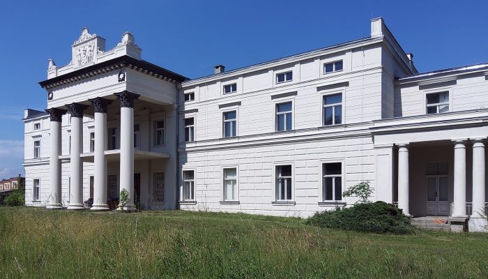 Slott till salu Głuchowo, województwo wielkopolskie,  Polen