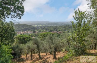 Landhus købe Vicopisano, Toscana, Billede 12/12