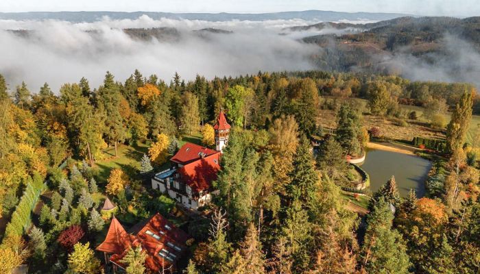 Slott till salu Karlovy Vary, Karlovarský kraj,  Tjeckien