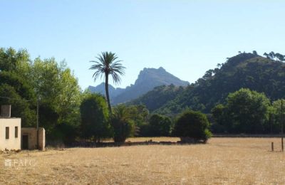 Herregård til salgs Mallorca, Serra de Tramuntana, Cala Sant Vicenç, Balearen, Bilde 11/14