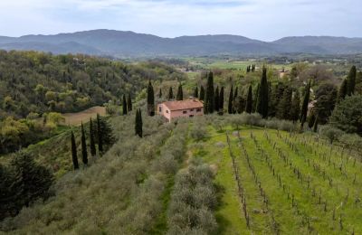 Lantgård till salu Vicchio, Toscana, Bild 36/39