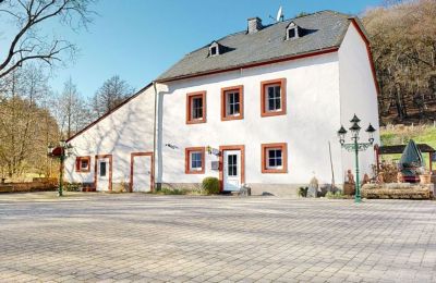 Herrenhaus/Gutshaus kaufen 54518 Heidweiler, Rheinland-Pfalz:  Haus 4