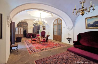 Schloss kaufen Kraj Vysočina, Eingangshalle