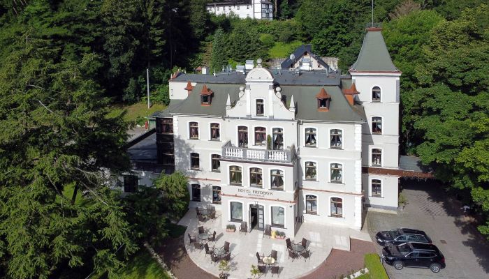 Historisk villa Duszniki-Zdrój 4