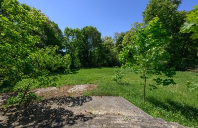 Herregård til salgs Lubiatów, województwo łódzkie, Park