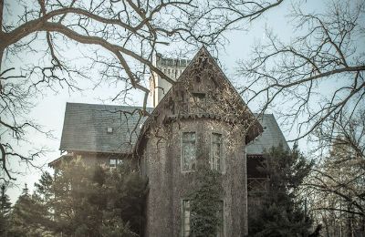 Schloss kaufen Sośnie, Jana Sztolcmana 1, Großpolen, Foto 4/7