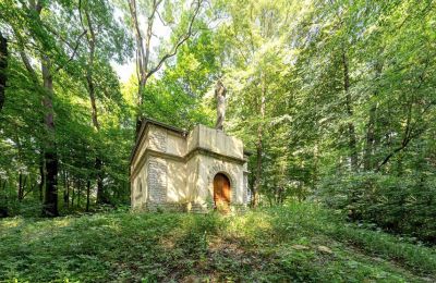 Herrenhaus/Gutshaus kaufen Poręba Żegoty, Ruiny Dworu Szembeków, Kleinpolen, Foto 16/20