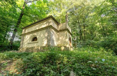 Herrenhaus/Gutshaus kaufen Poręba Żegoty, Ruiny Dworu Szembeków, Kleinpolen, Foto 17/20