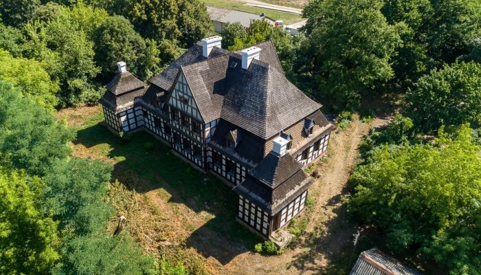 Herrenhaus/Gutshaus Rogoźno 3