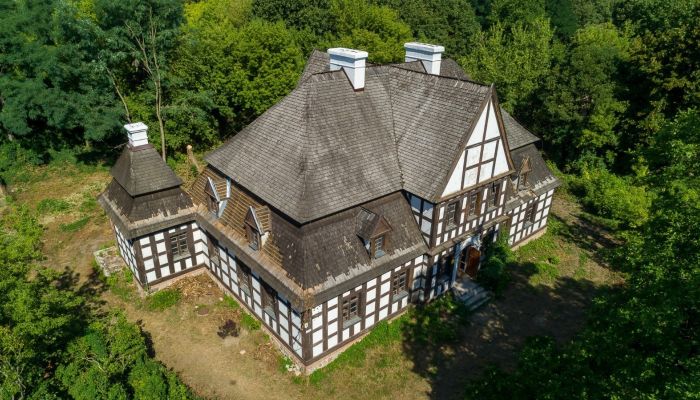 Herrenhaus/Gutshaus Rogoźno 5