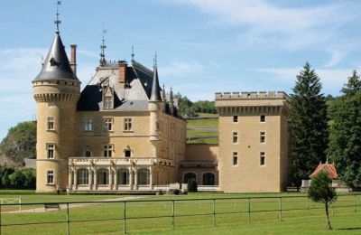 Schloss kaufen Frankreich, Foto 38/49