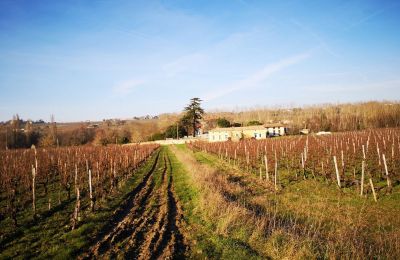 Slot købe Blaye, Nouvelle-Aquitaine, Billede 12/14