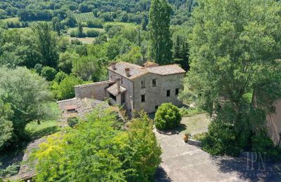 Herregård købe 06014 Montone, Umbria, Billede 35/36