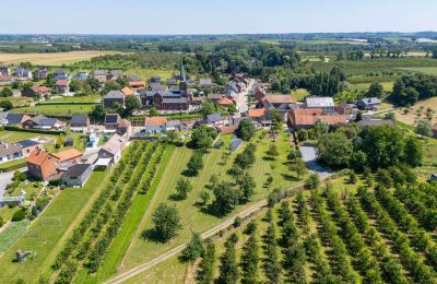 Byhus købe 3800 Sint-Truiden, Vlaanderen, Billede 10/32