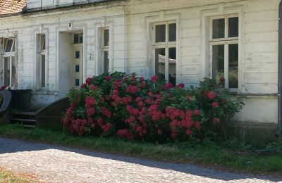 Herrenhaus/Gutshaus kaufen 18556 Zürkvitz,  Zürkwitzer Str. 15, Mecklenburg-Vorpommern, Foto 20/23