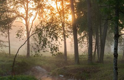 Herregård købe Virķēni, virķēnu muiža, Vidzeme, Billede 10/17