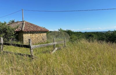 Historisk fastighet till salu Mirande, Occitanie, Bild 27/45