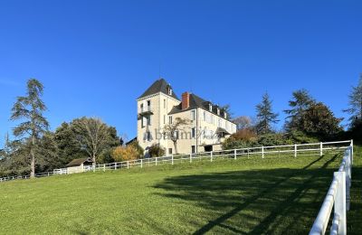 Herregård til salgs Pau, Nouvelle-Aquitaine, Bilde 2/23